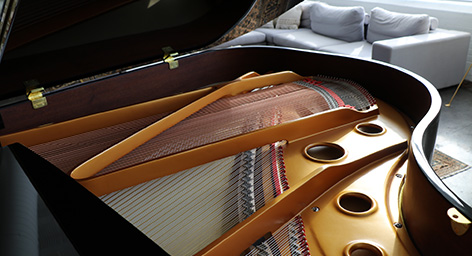 grand-piano-inside-desktop